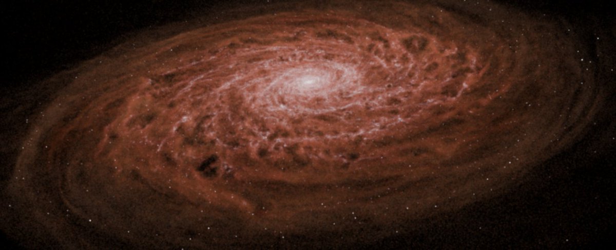 Milan Jaros tweet media