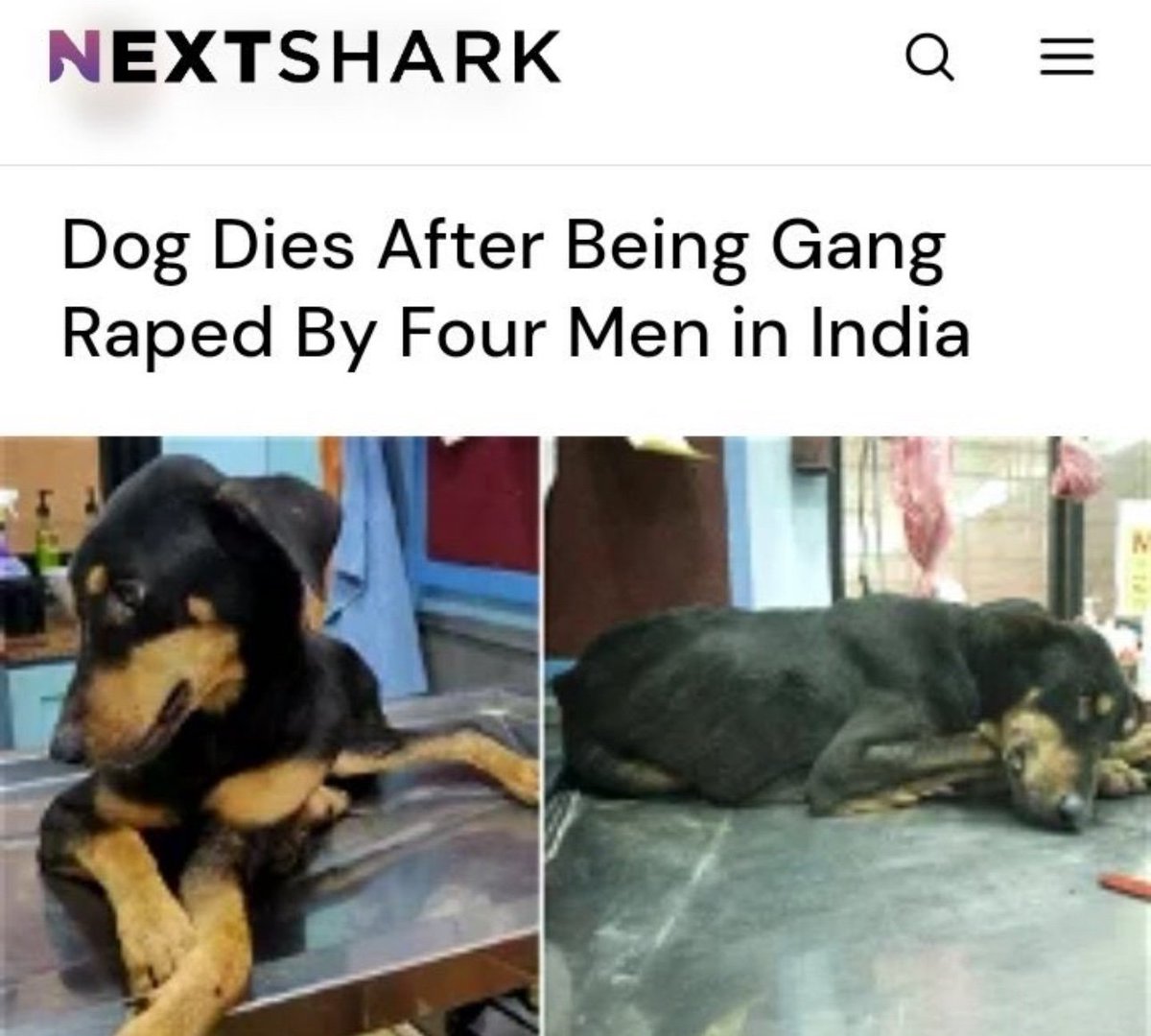 RiponBest's tweet photo. @doamuslims India is a country of Rapists.💯 https://t.co/hgSO2FoaZo