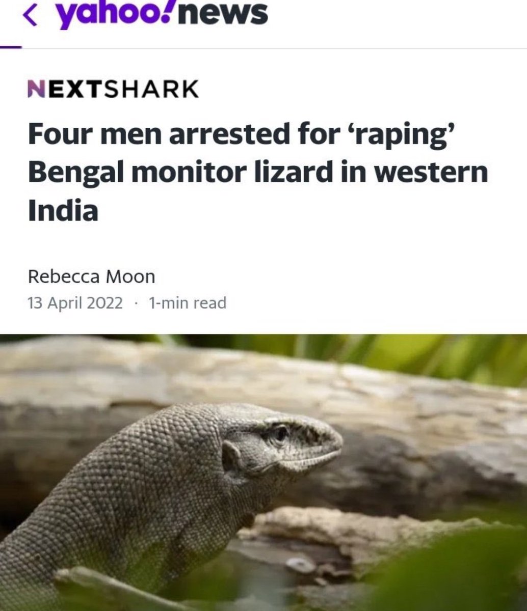 RiponBest's tweet photo. @doamuslims India is a country of Rapists.💯 https://t.co/hgSO2FoaZo