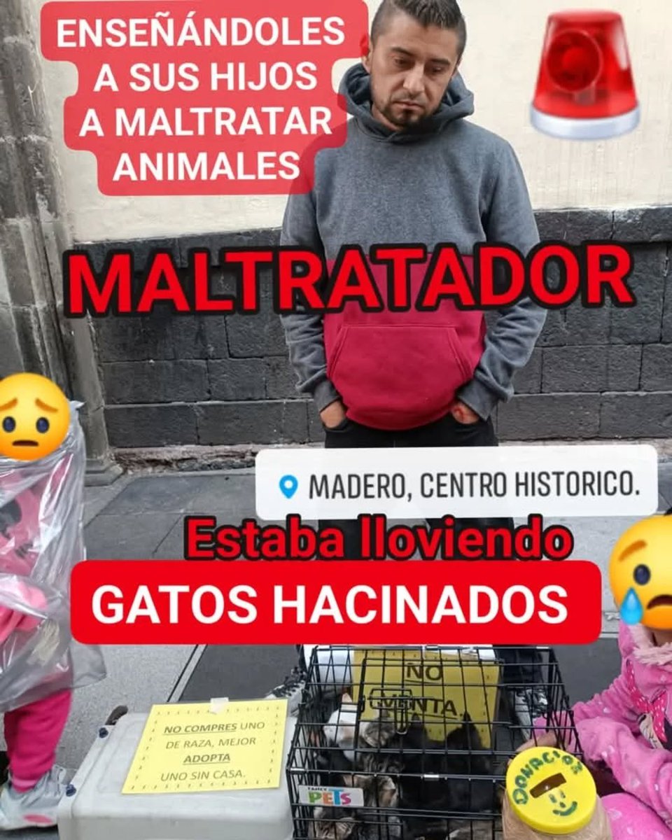 Susana Cruz (@susana_cruz_) on Twitter photo Son tantos testimonios de lo que sucede en el centro histórico de la #CdMX con los explotadores de animales, que no entiendo cómo es que la autoridad "no se da cuenta" <a href="/ClaraBrugadaM/">Clara Brugada Molina</a> <a href="/FiscaliaCDMX/">Fiscalía CDMX</a> <a href="/AgatanCdmx/">Agencia de Atención Animal</a> <a href="/PAOTmx/">PAOT</a> <a href="/SSC_CDMX/">SSC CDMX</a> Son tantos testimonios de lo que sucede en el centro histórico de la #CdMX con los explotadores de animales, que no entiendo cómo es que la autoridad "no se da cuenta" <a href="/ClaraBrugadaM/">Clara Brugada Molina</a> <a href="/FiscaliaCDMX/">Fiscalía CDMX</a> <a href="/AgatanCdmx/">Agencia de Atención Animal</a> <a href="/PAOTmx/">PAOT</a> <a href="/SSC_CDMX/">SSC CDMX</a>