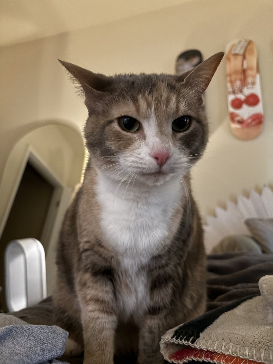 just got rubbed for a solid 7 minutes i loved it