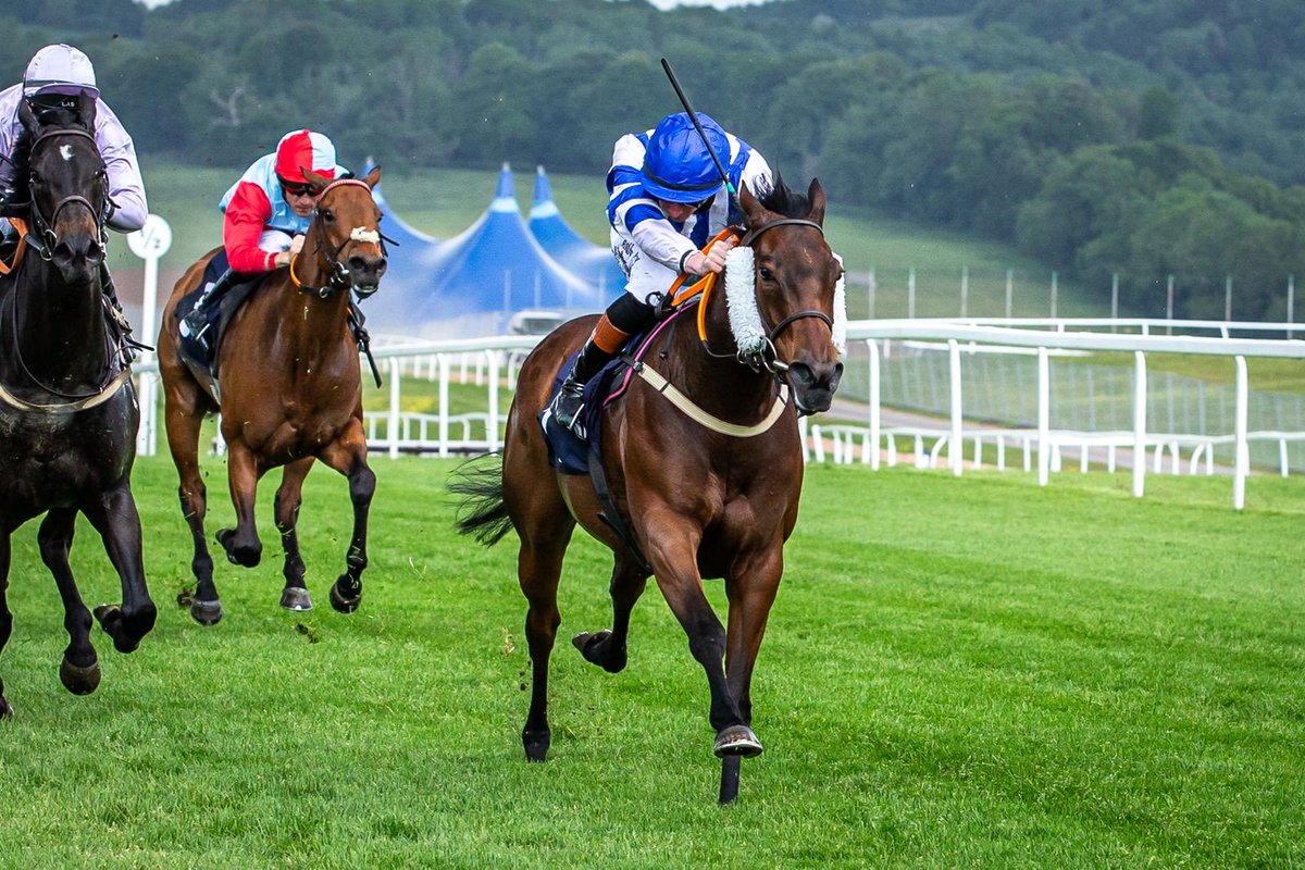 Phil Bell (@philbell25) on Twitter photo Delighted with today’s first run of the season for our new Belly’s Heroes syndicate horse Savannah Smiles trained by <a href="/GraceHarris90/">Grace Harris Racing</a> and ridden by <a href="/Rossaryan15/">Rossa Ryan</a> - just caught on the line <a href="/Chepstow_Racing/">Chepstow Racecourse</a> but 2nd place is an encouraging start. Delighted with today’s first run of the season for our new Belly’s Heroes syndicate horse Savannah Smiles trained by <a href="/GraceHarris90/">Grace Harris Racing</a> and ridden by <a href="/Rossaryan15/">Rossa Ryan</a> - just caught on the line <a href="/Chepstow_Racing/">Chepstow Racecourse</a> but 2nd place is an encouraging start.