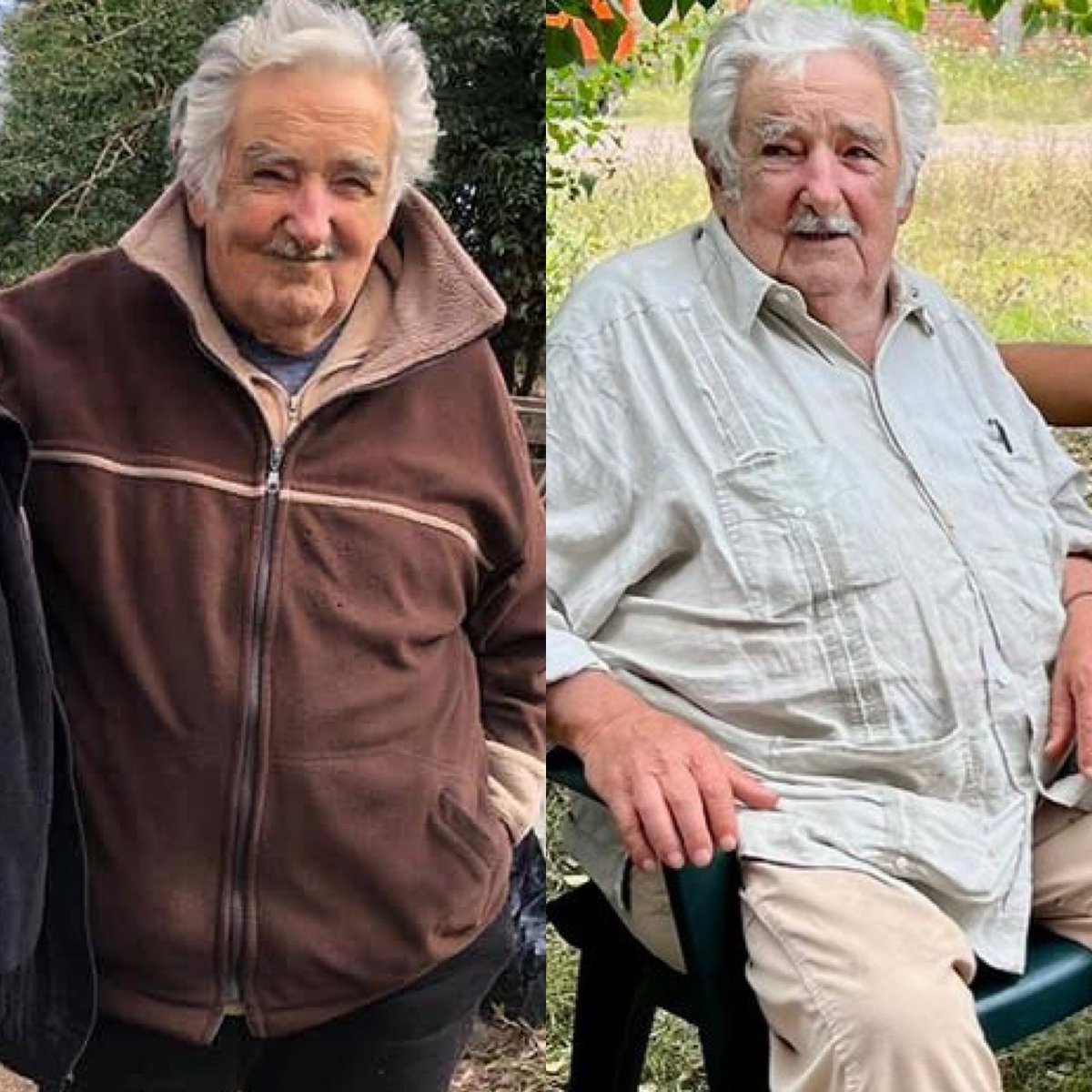 Pepe Mujica: "Lo importante en la vida no es triunfar, es volver a empezar cada vez que uno se cae"