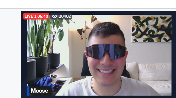 Moose tweet media