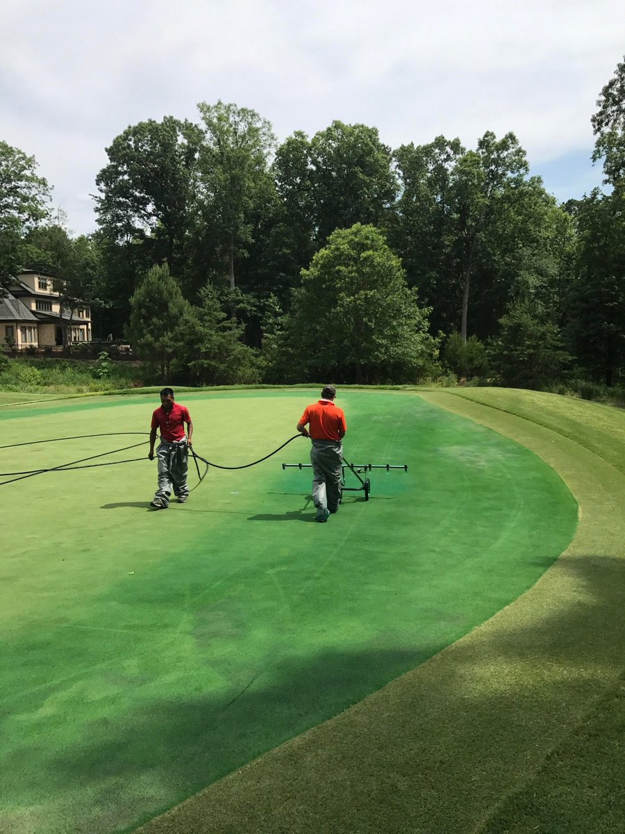 💡 Local knowledge. Proven products.
Tenbarge Seed reps are in the field, walking sites, solving problems.
Real support you can count on.
#TenbargeSeed #MidwestTurf #TurfPros #LawnCareSolutions #golf