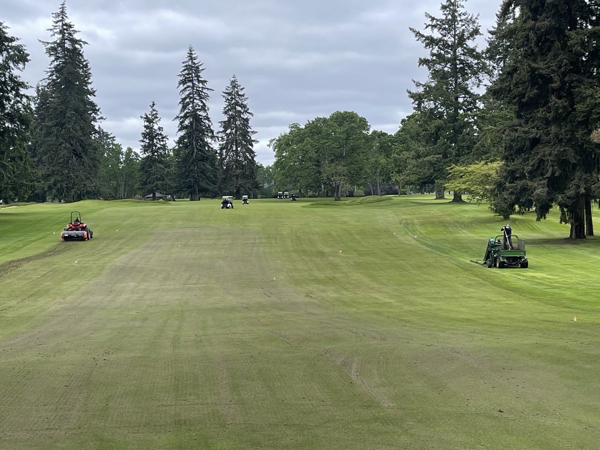 Pulling cores on a few softer landing areas on our fairways. Core harvest, heavy top dress of sand and brush in. Need the cores to re-establish our short grass nursery. Always striving to improve conditions.