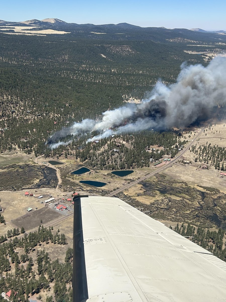 AZ Dept. Forestry and Fire Management (@azstateforestry) on Twitter photo Arizona Forestry & <a href="/A_SNFs/">ApacheSitgreaves NFs</a> working #GreerFire w/n Greer proper. Fire started on private & wind-driven thru heavy fuels.
LATs, AA & Lead plane launched. Add'l engines on order.
Per Apache County SO: GO for South Fork which is ahead of the fire. Multiple structures destroyed. Arizona Forestry & <a href="/A_SNFs/">ApacheSitgreaves NFs</a> working #GreerFire w/n Greer proper. Fire started on private & wind-driven thru heavy fuels.
LATs, AA & Lead plane launched. Add'l engines on order.
Per Apache County SO: GO for South Fork which is ahead of the fire. Multiple structures destroyed.