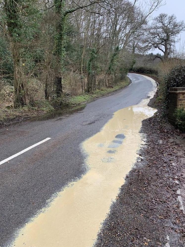 Knocked over my Sports Direct mug of tea today