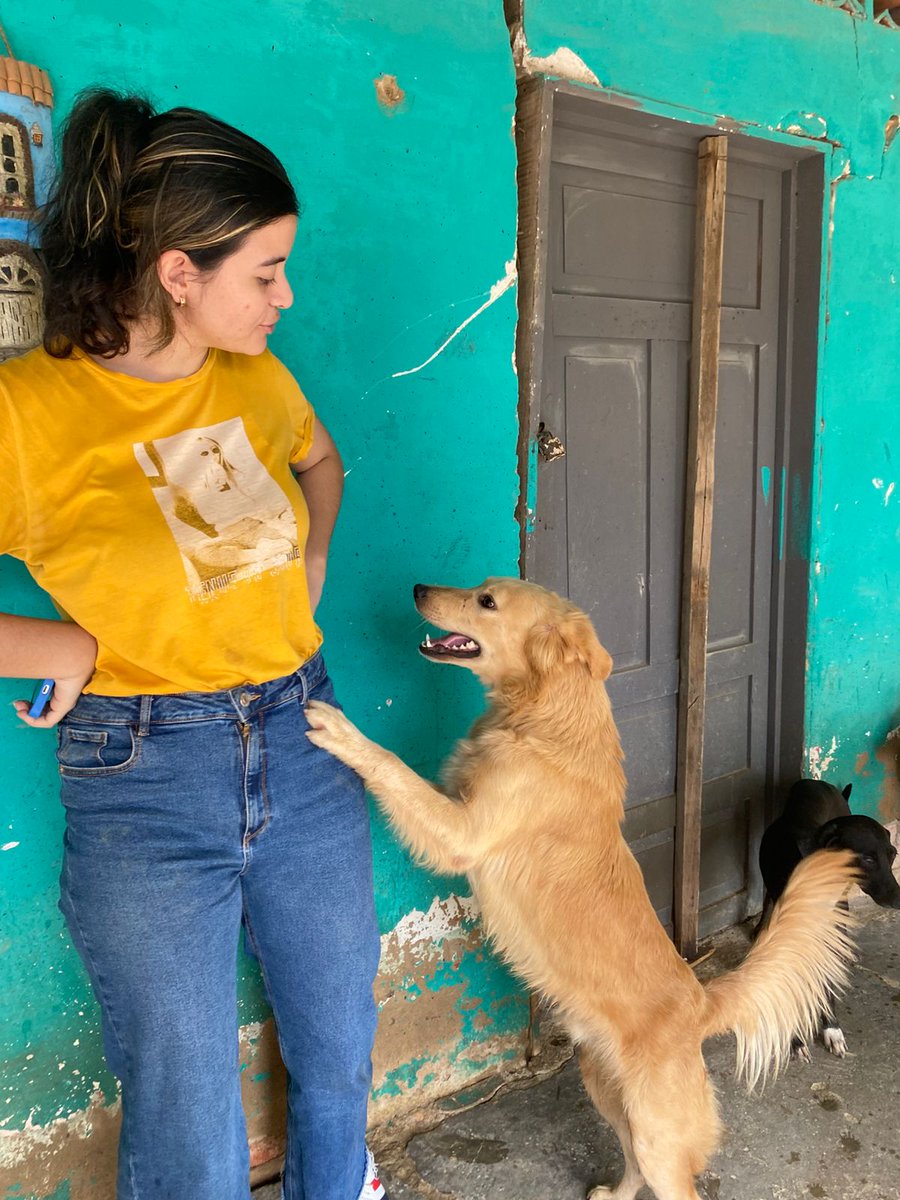 Hoy en un nuevo capítulo de:

❤️Perritos que conozco mientras trabajo✨

Este es Diego, le estaba diciendo que se comporte para poder tomarle fotos bonitas y lo puedan adoptar