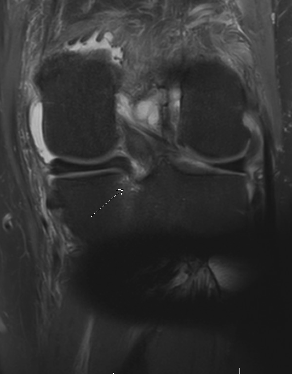 Daniel Liechti, MD tweet media