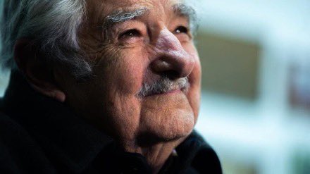 JohnAmayaR's tweet photo. Se fue el gran Pepe Mujica, pero nos deja su mayor lección: la política es para servir, no para servirse. 

Vivió con sencillez, habló con verdad y honestidad y luchó por la felicidad de todos. Su coherencia fue su mayor revolución. 

¡Gracias, Pepe. Vuela alto viejo querido! https://t.co/hcOLADfwS7