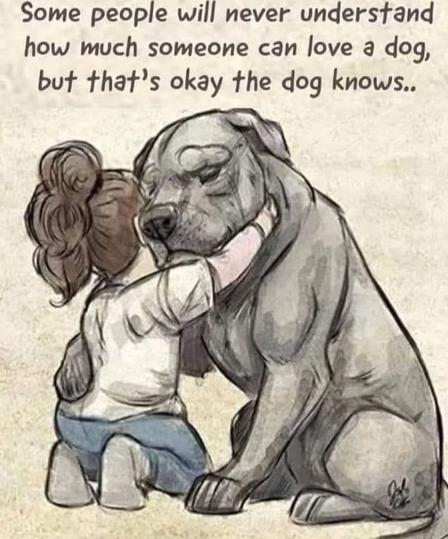 The Dalbo Dog (@dalbodog) on Twitter photo 