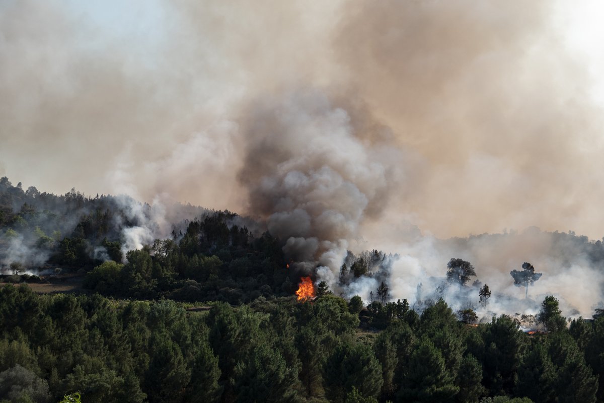OSUASPIRE's tweet image. Ready for #wildfiresmoke? Don&apos;t miss the Wildfire Smoke Air Monitoring Response Technology (WSMART) and AirNow Fire and Smoke Map Training Webinar from the U.S. EPA, June 5th! #AirQuality #EPAWebinar
Learn More: beav.es/NuW
Register here: beav.es/NuP