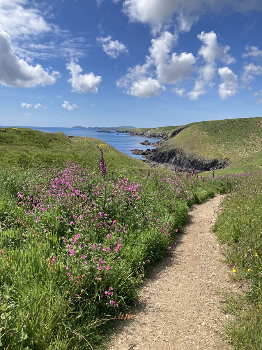 Who got out into the sunshine over the weekend? 🥾☀️

Let's see those sunny walks in the comments!

📍 Pembrokeshire Coast Path
📸: Jill Hayman 

👉🏽 P.s. We're on the lookout for #BritainsFavouritePath, don't forget to enter for your chance to win!