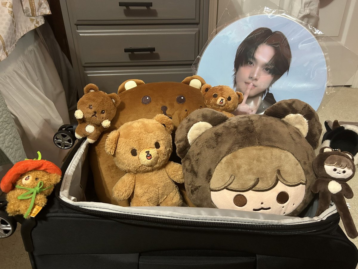 SC_cherry's tweet image. All packed up for South Korea 🇰🇷🐻