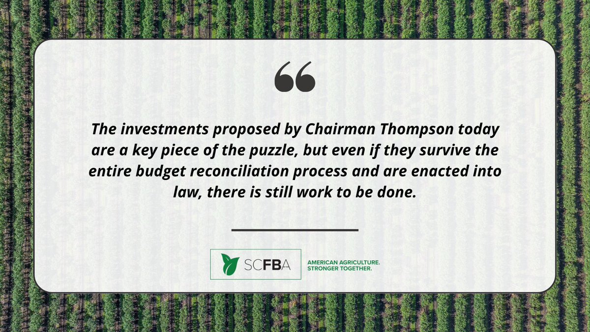 SCFBA (@scfba) on Twitter photo We are grateful to <a href="/CongressmanGT/">Glenn "GT" Thompson</a> for advancing vital investments in specialty crops. Our message today is simple: whenever Congress invests in American agriculture, it must include specialty crops. 🌱🇺🇸
Our statement: farmbillalliance.com/wp-content/upl… We are grateful to <a href="/CongressmanGT/">Glenn "GT" Thompson</a> for advancing vital investments in specialty crops. Our message today is simple: whenever Congress invests in American agriculture, it must include specialty crops. 🌱🇺🇸
Our statement: farmbillalliance.com/wp-content/upl…