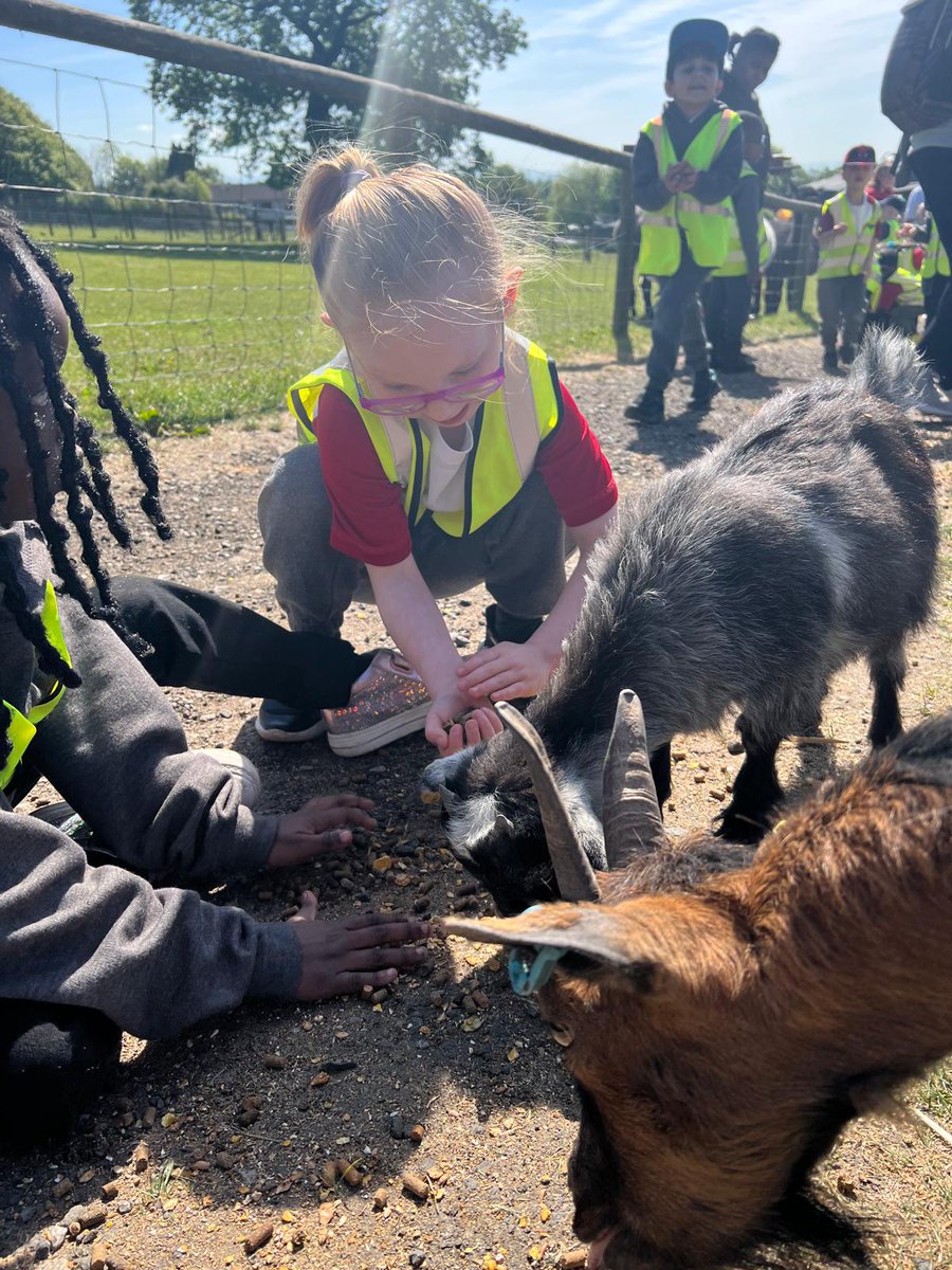 Reception had a lovely day at the farm 😊 <a href="/Smithillsfarm/">Smithills Open Farm</a> #creatingabetterfuture