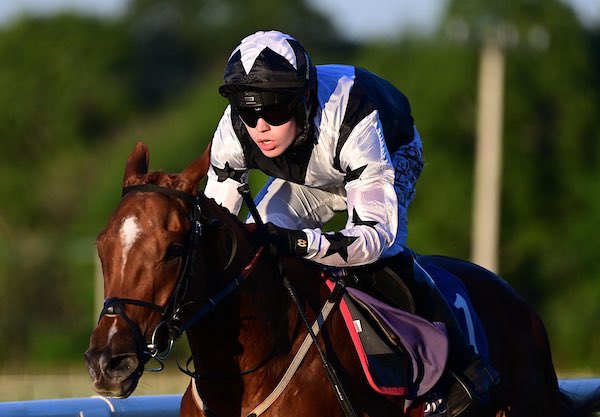 Gordon Elliott (@gelliott_racing) on Twitter photo Across the card double 🥇
<a href="/chrishayes24/">Chris Hayes</a> steered Mordor to a clear win down in <a href="/KillarneyRaces/">KillarneyRaces</a> for owner Ray Stokes, whilst @joshwilliamson0 cruised home comfortably aboard Cosmos D’ainay for <a href="/KtdaRacing/">KTDA Racing</a> in <a href="/SligoRaces/">Sligo Races</a>
Congratulations to all connections involved🥂
📸 Healy Racing Across the card double 🥇
<a href="/chrishayes24/">Chris Hayes</a> steered Mordor to a clear win down in <a href="/KillarneyRaces/">KillarneyRaces</a> for owner Ray Stokes, whilst @joshwilliamson0 cruised home comfortably aboard Cosmos D’ainay for <a href="/KtdaRacing/">KTDA Racing</a> in <a href="/SligoRaces/">Sligo Races</a>
Congratulations to all connections involved🥂
📸 Healy Racing