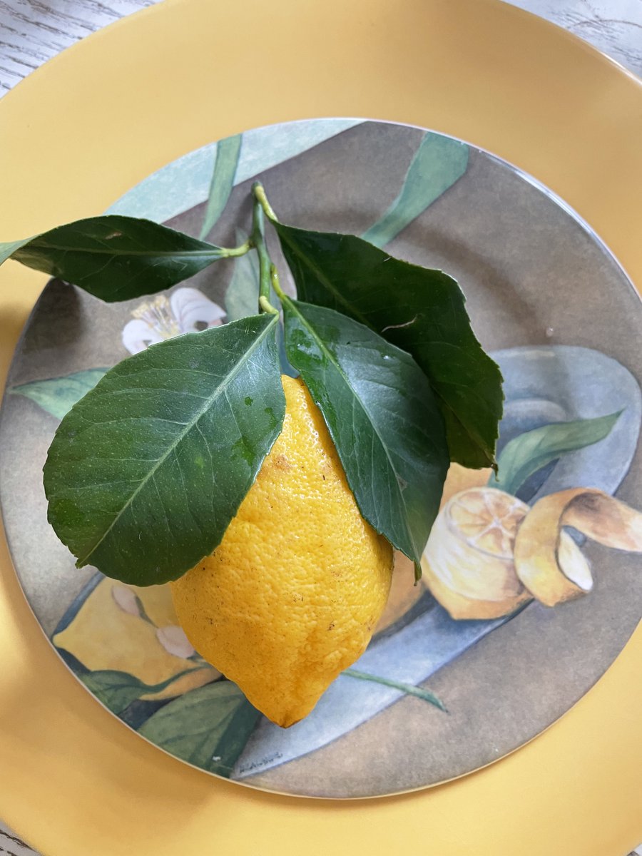 Frieden! Peace! Make love not war – ein  uralter Slogan.  Klngt salopp, doch alle sind in der Verantwortung! Können Sie sich nicht daran erinnern <a href="/_FriedrichMerz/">Friedrich Merz</a> ? Picasso würde auf sein Werk #Guernica verweisen. Er hätte eine Meinung. Ultrasaure Zitronen für Kriegsbefürworter