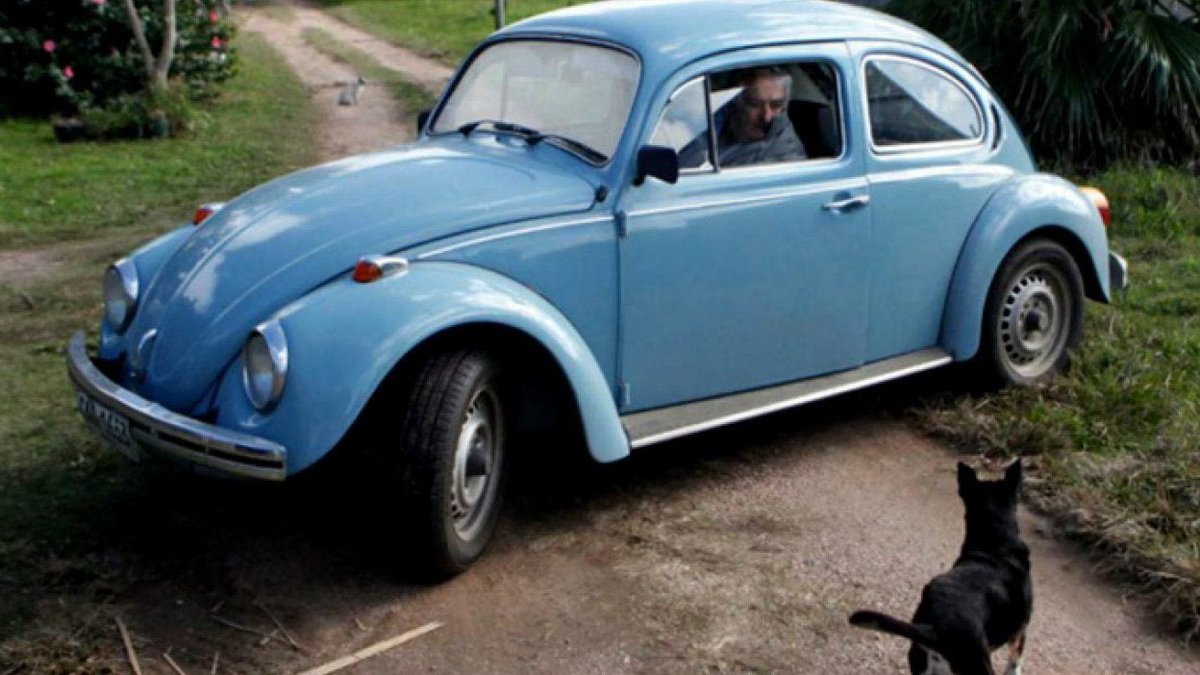 arrobaselva's tweet image. 