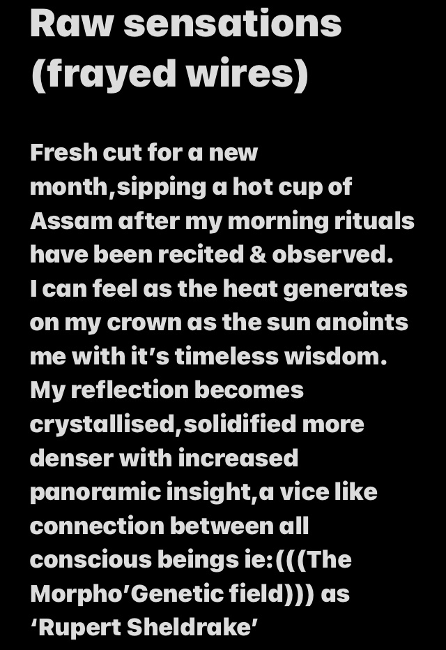 tyronewarren819's tweet photo. 🔵’Raw sensations’(frayed wires)✨📖✍🏽
#TMWarren #Author #Wheelsong #RemoteViewers #RupertSheldrake #Prisons #poetry #poetrycommunity https://t.co/Ph2CmIyPwn