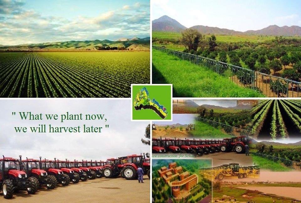 Eritrea 🇪🇷 
This is only for dreamers...are  you?
If yes you can read the article...if not scorl down...

“A river that passes without a cup is a wasted blessing.”
Topic: Bread and Butter to Agribusiness – The Strategic Diversion of the Gash River

The Gash River, or Mareb, is