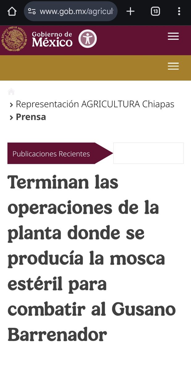 Bernardo Escalante tweet media