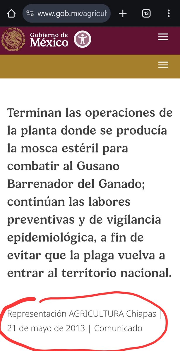 Bernardo Escalante tweet media