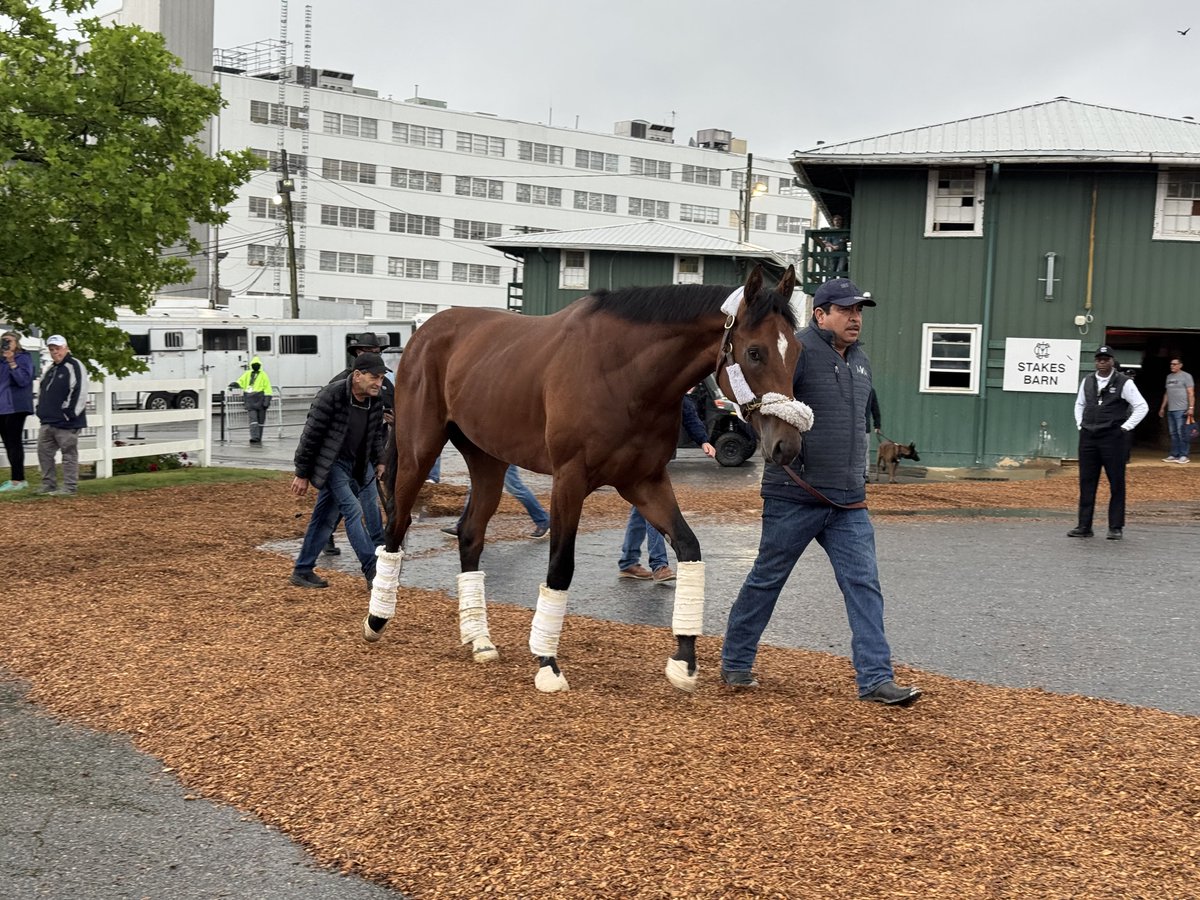 Jennie Rees (@tracksidejennie) on Twitter photo Newsbreak! Your <a href="/PreaknessStakes/">Preakness Stakes</a> favorite & #KyDerby runner-up Journalism arrives at <a href="/PimlicoRC/">Pimlico</a> in #Baltimore from #ChurchillDowns for trainer <a href="/mwmracing/">Michael W. McCarthy</a>. <a href="/umbyrispoli/">Umberto Rispoli</a> <a href="/AronWellman7/">Aron Wellman</a> <a href="/EclipseTBP/">Eclipse Thoroughbred Partners</a> <a href="/coolmoreamerica/">Coolmore America</a> Newsbreak! Your <a href="/PreaknessStakes/">Preakness Stakes</a> favorite & #KyDerby runner-up Journalism arrives at <a href="/PimlicoRC/">Pimlico</a> in #Baltimore from #ChurchillDowns for trainer <a href="/mwmracing/">Michael W. McCarthy</a>. <a href="/umbyrispoli/">Umberto Rispoli</a> <a href="/AronWellman7/">Aron Wellman</a> <a href="/EclipseTBP/">Eclipse Thoroughbred Partners</a> <a href="/coolmoreamerica/">Coolmore America</a>
