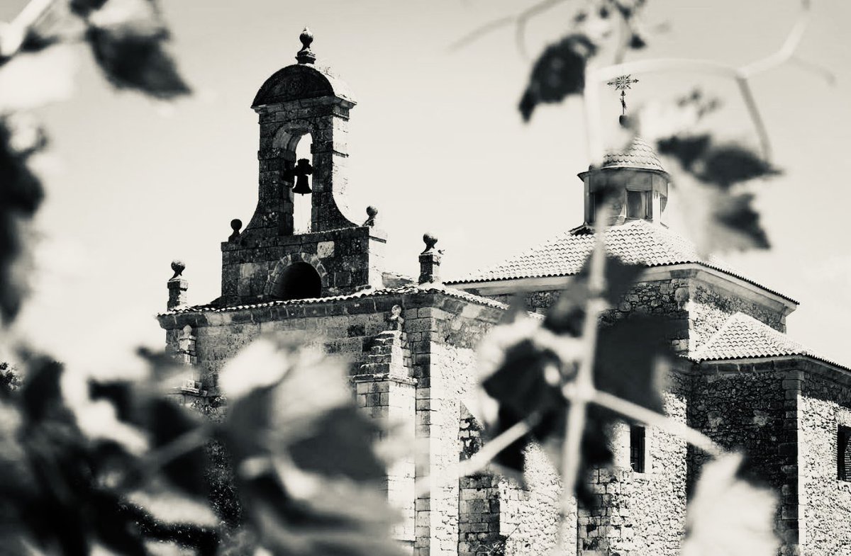 🍷🍇 Lee este post si estás buscando el mejor vino de Pesquera de Duero para una comida especial, un regalo o simplemente para disfrutar de un buen vino en casa 🔗 barcolasculebras.com/elegir-el-mejo…