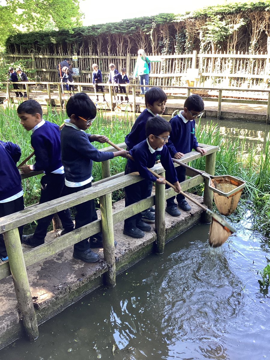 MrsFojdar_AMPA's tweet photo. 2NF had a fabulous nature day at Beaumanor Hall. We loved pond dipping, bird spotting and went searching for mini-beasts under the thousand year old Yew tree! 🌲 ☀️ @AbbeyMead_TMET https://t.co/i4ayLIuzH7