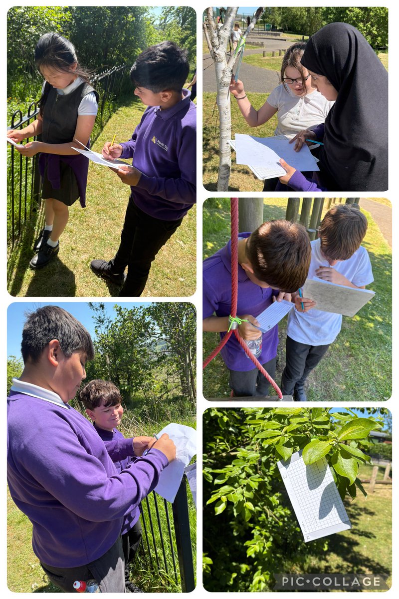 We are so very proud of our Year 6 pupils and how they are handling SAT’s week. Here’s a snap shot of us enjoying the sunshine whilst continuing to revise for our maths tests tomorrow. 
#MerlinToppers - aspiring to be the best we can be ✏️ 📕