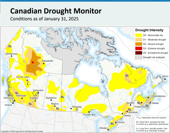 ryansnoddon's tweet image. Welcomed news from the Canadian Drought Monitor. Thanks to near/above average precipitation this Spring, widespread moderate drought conditions have been reduced to a smaller area of abnormally dry conditions (as of April 30th)
So far, May precipitation is on par.
#nswx #nbwx