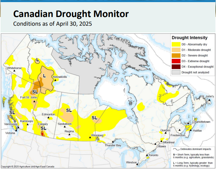ryansnoddon's tweet image. Welcomed news from the Canadian Drought Monitor. Thanks to near/above average precipitation this Spring, widespread moderate drought conditions have been reduced to a smaller area of abnormally dry conditions (as of April 30th)
So far, May precipitation is on par.
#nswx #nbwx