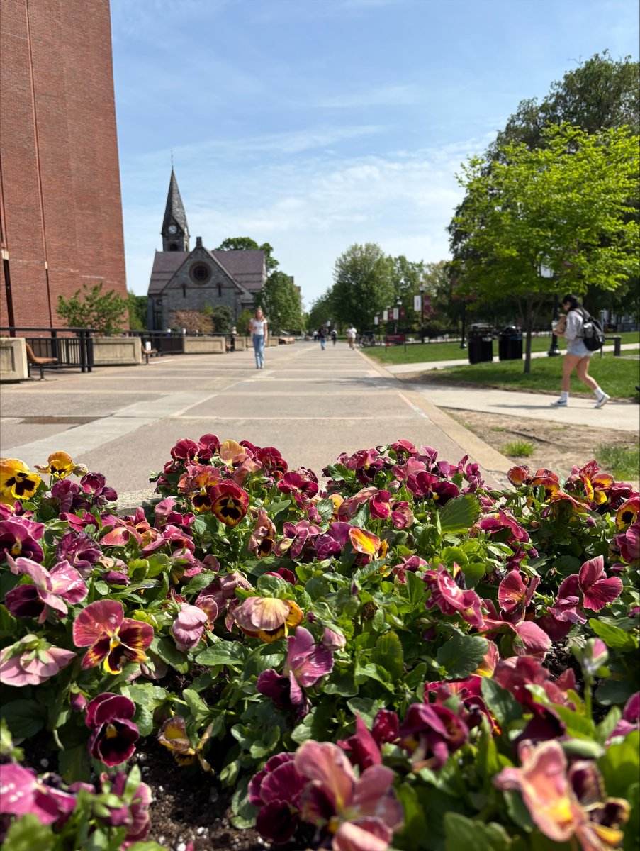 It's a picture-perfect, postcard kind of day on campus. Hit the ❤️ if you wish you were here!