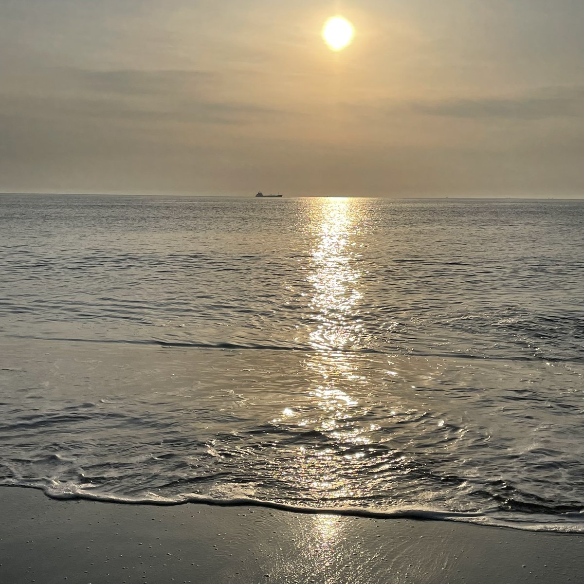 ウルトラツルツルプール🏊
3時からやってるけどエイすら掛からない🤔