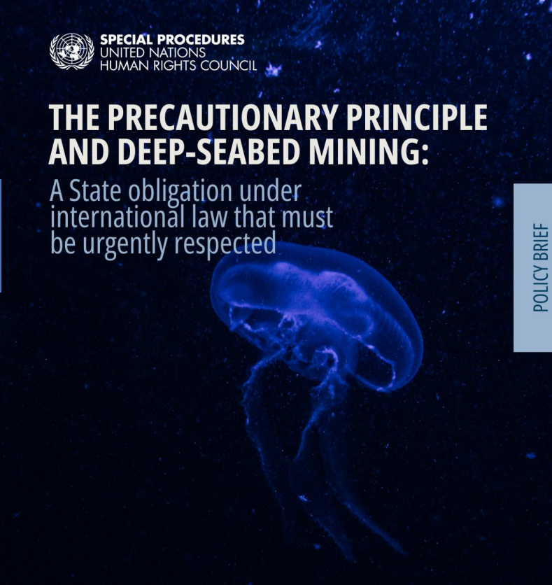 📌Policy Brief by the UN Human Rights Special Rapporteurs on CC, and the Right to Clean, Healthy and Sustainable Environment

"The Precautionary Principle &amp; Deep-Seabed Mining:  A State obligation under international law that must be urgently respected"

🔗ohchr.org/sites/default/…