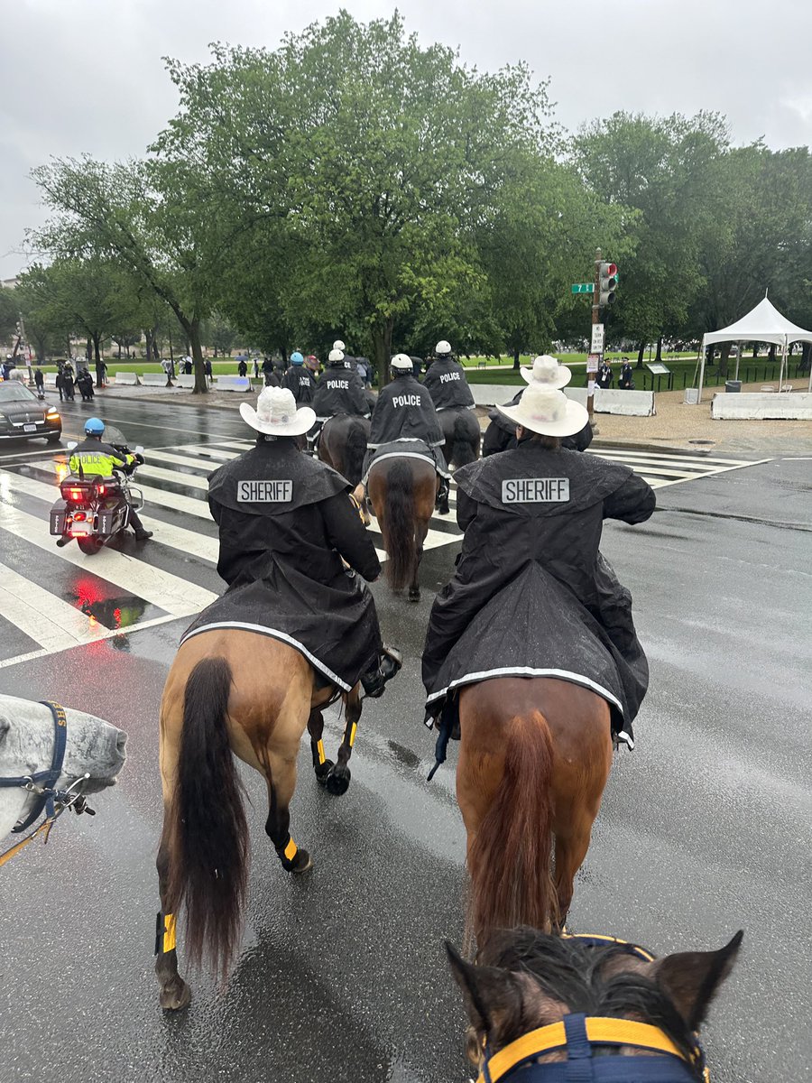 HCSO_D3Patrol's tweet image. D3 Sgt Carrizales and members of the @HCSOTexas Mounted and Motors units representing in D.C. for the annual law enforcement memorial and police week.