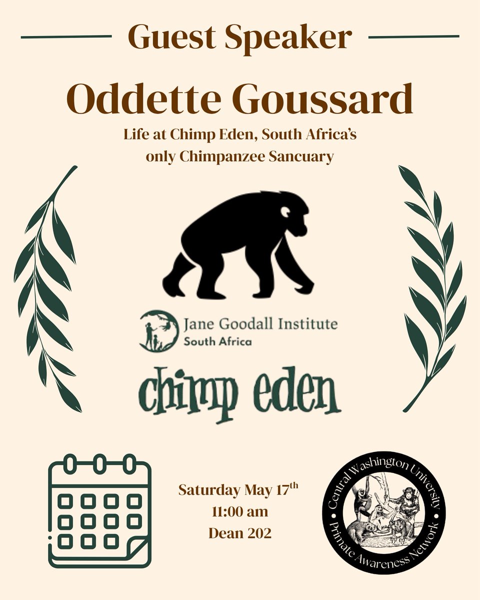 We have a special guest! Oddette Goussard is coming from Chimp Eden and sharing her experience working at the only chimpanzee sanctuary in South Africa. 

Bring lots of questions! 
<a href="/CentralWashU/">CWU</a> <a href="/JaneGoodallInst/">Dr. Jane Goodall & the Jane Goodall Institute</a> 
#PAN #CentralWashingtonUniversity #primates #janegoodallinstitute