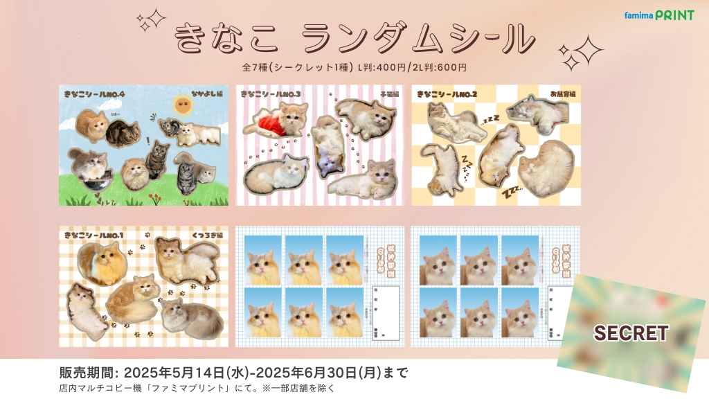 【きなこぷりん様♡ご確認ページ】 しなこ 🌷💜՞・֊・՞ | ₹˝ｬʓ₹˝ｬʓしなこで パルパルディズニー