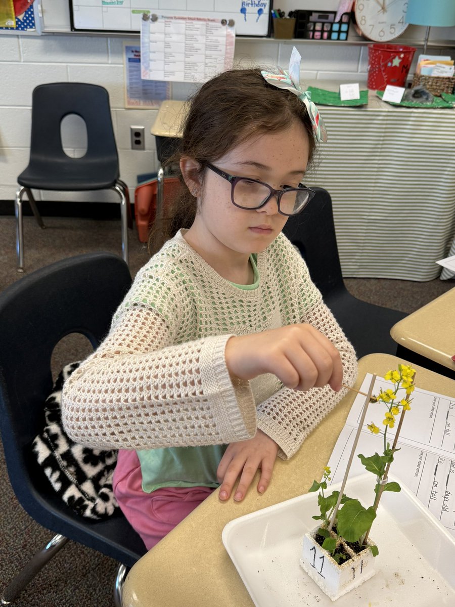 Mrs. Schinski's 2nd Grade Class tweet media