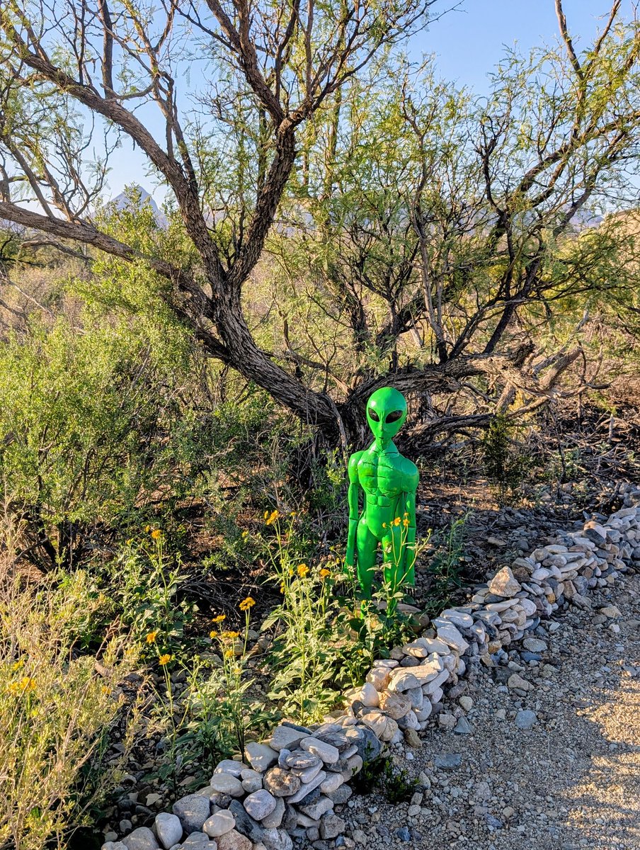 The border invasion continues...