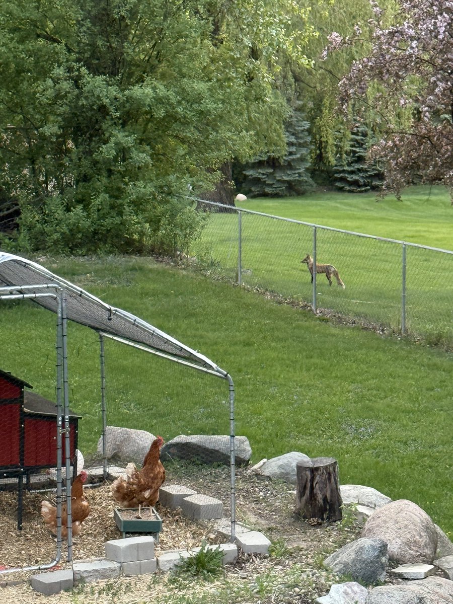 Dan Wolter 🇺🇸🇺🇸🇺🇸 tweet media