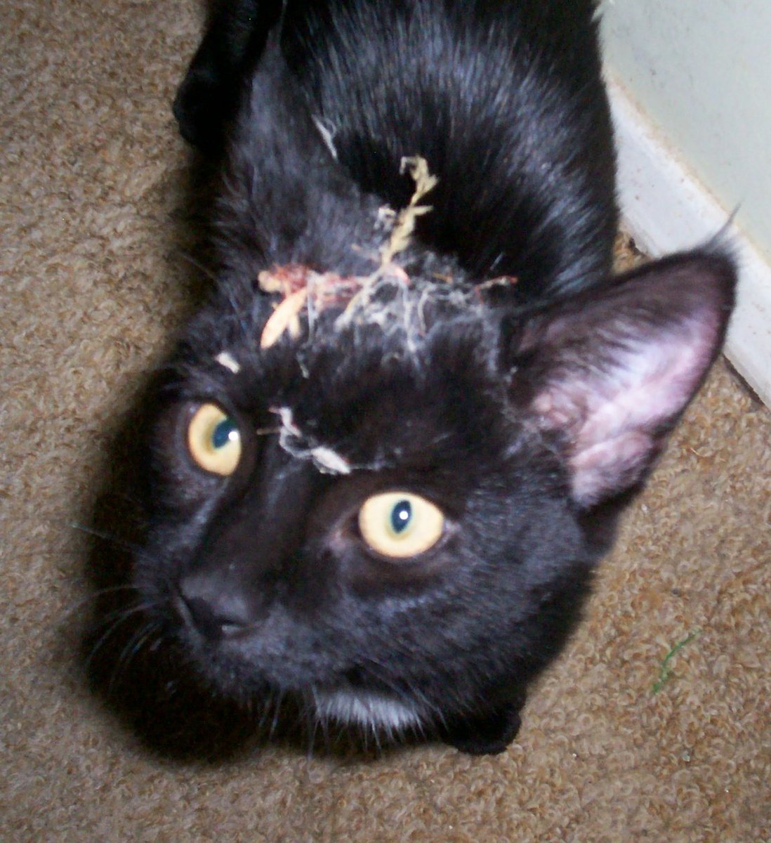 What? Is there something on my face?