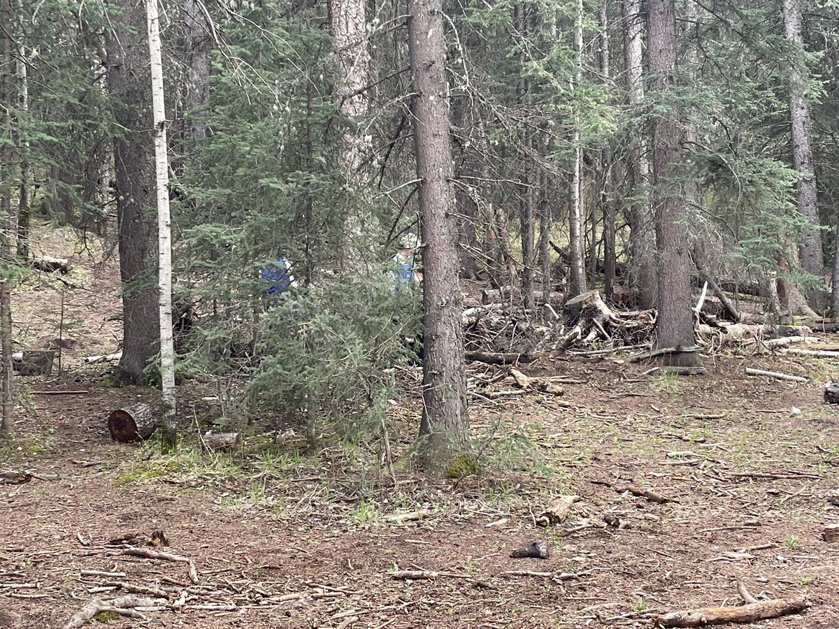 Valley View School (@valleyviewcbe) on Twitter photo Grade 6 students are all smiles at Camp Chief Hector! They’re taking responsibility at mealtimes, exploring the mountains, and going all in for an epic game of Predator vs. Prey. Nature, teamwork, and joy all around! #WeAreCBE <a href="/CBEArea3/">CBE Area 3</a> Grade 6 students are all smiles at Camp Chief Hector! They’re taking responsibility at mealtimes, exploring the mountains, and going all in for an epic game of Predator vs. Prey. Nature, teamwork, and joy all around! #WeAreCBE <a href="/CBEArea3/">CBE Area 3</a>