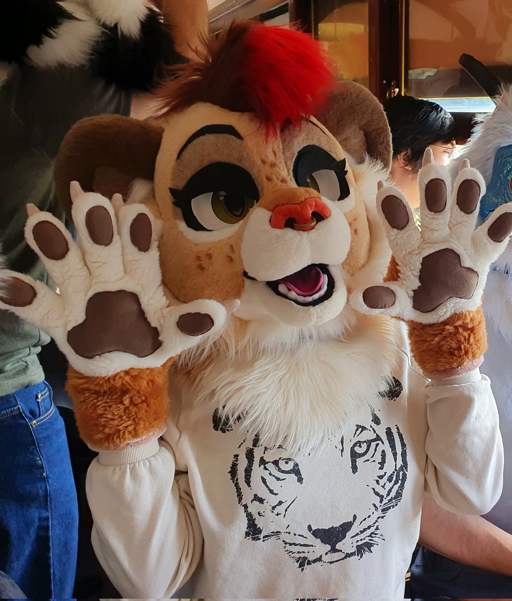 SneakyyLion's tweet image. Seeing double? 🦁🐯
