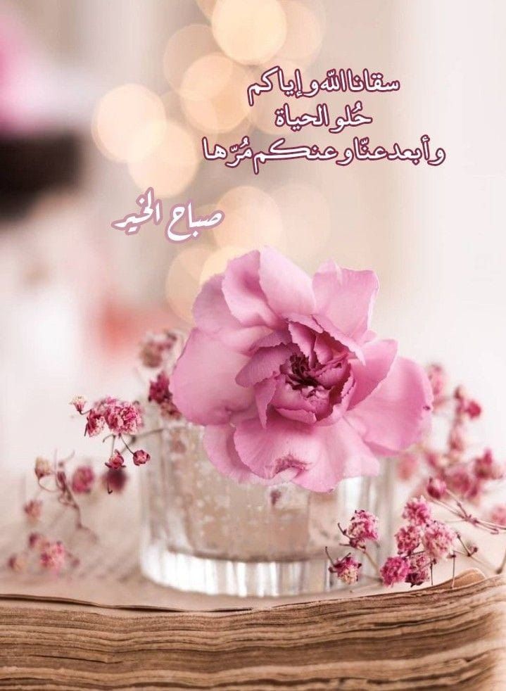 amal971971's tweet photo. 🔹🔹  صباح الخير  🔹🔹 https://t.co/mzhvsTVW43