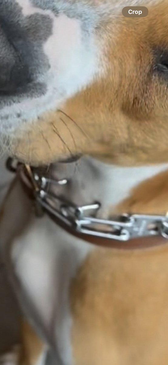 #JusticeForLiam ❯❯❯❯❯ tweet media