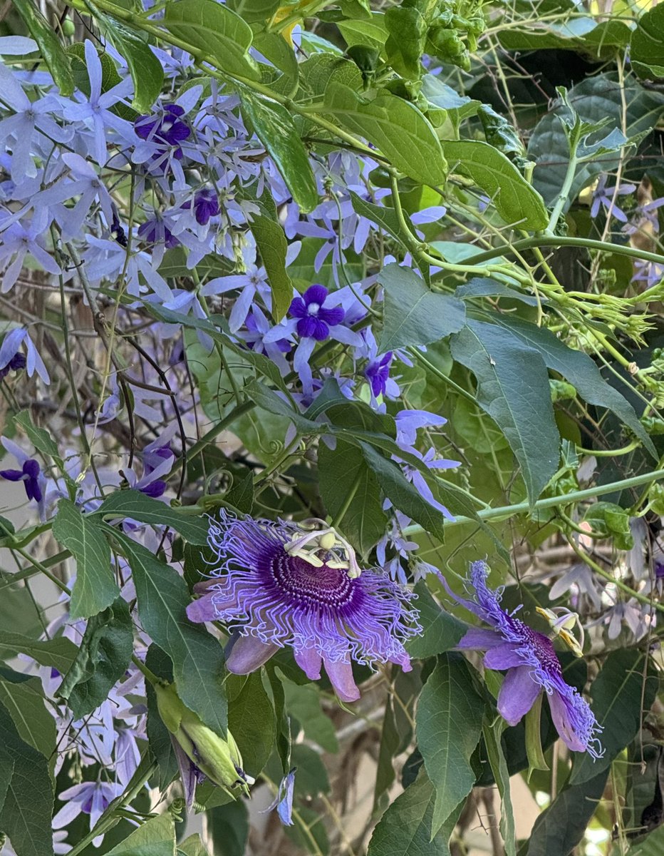 Happy day in the tropics