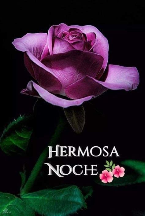 Gracias a Dios por permitir terminar otro día y regalarnos una noche placentera bendiciones  !!!!
#BuenasNochesATodos